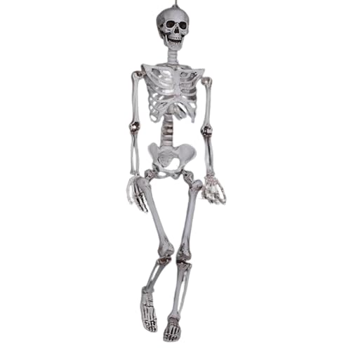 Skelettfiguren – Modell des beweglichen Schädels, Knochendekoration des Universitätslabors | Gruseliges Mini-Skelett für Sargdisplays, Festival Fright, Innenstatue von Hal