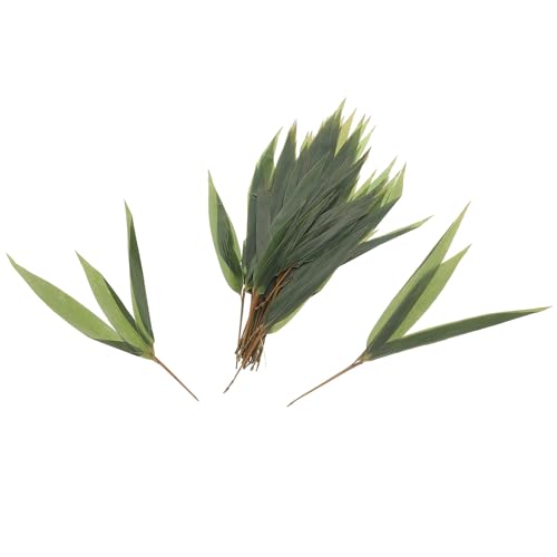 ELAYARD Japanische Sushi Tellerdekoration Bambusblatt 16cm Künstliche Grüne Blätter für Sashimi Servierplatte und Lebensmittelpräsentation