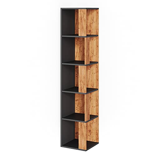 Vicco Eckregal Lio, stehendes Bücherregal, Goldkraft Eiche/Anthrazit, 33.3 x 162.2 cm