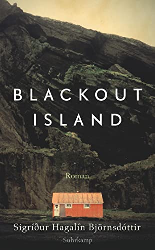 Blackout Island: Roman (suhrkamp taschenbuch)