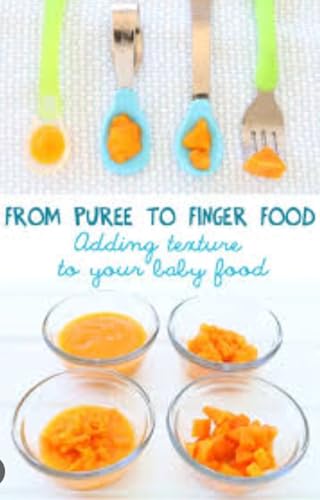 From Purees to Finger Foods- The Ultimate Baby-Led Weaning Guide: Baby Led Weaning Made Easy (English Edition)