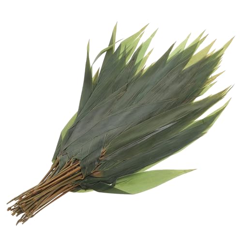 TOYANDONA 1 Beutel Sushi Blätter Künstlich 16cm Lange Japanische Dekorationsblätter für Sashimi und Sushi Teller Leichtes Kunststoffblatt für Essenspräsentation und Buffetgestaltung