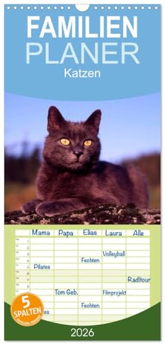 Familienplaner 2026 - Katzen mit 5 Spalten (Wandkalender, 21 cm x 45 cm), CALVENDO