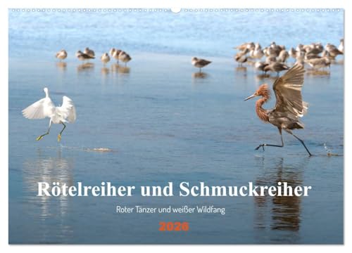 Rötelreiher und Schmuckreiher (Wandkalender 2026 DIN A2 quer), CALVENDO Monatskalender: Zwei Reiher in Florida, die im Erscheinungsbild und in ihrem ... werden hier vorgestellt. (CALVENDO Tiere)