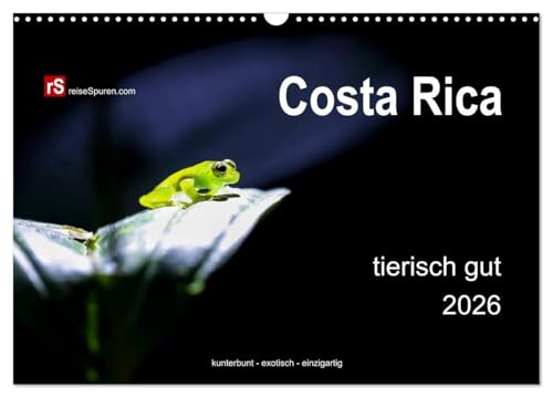 Costa Rica tierisch gut 2026 (Wandkalender 2026 DIN A3 quer), CALVENDO Monatskalender: Costa Ricas unglaublich vielfältige Tierwelt in freier Wildbahn ... - exotisch - einzigartig! (CALVENDO Tiere)