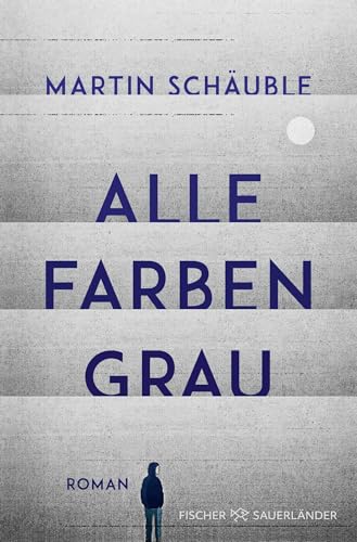 Alle Farben grau: Roman | wichtiger Roman über psychische Erkrankungen bei Jugendlichen (ab 14 Jahre)