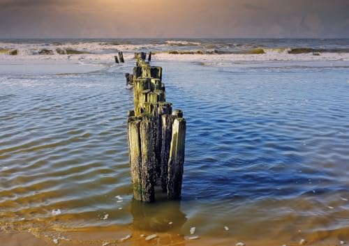 CALVENDO Poster 84,1 x 59,4 cm Querformat Ostfriesland| Bilder, Kunstdruck, Wandbild, Wanddeko, Prints ohne Rahmen