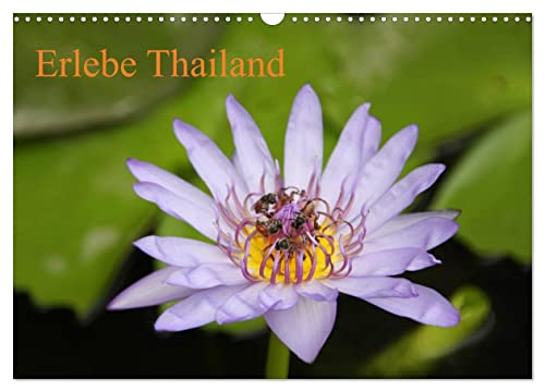 Erlebe Thailand (Wandkalender 2026 DIN A3 quer), CALVENDO Monatskalender: Buddha, Tempelwächter in tropischer Umgebung (CALVENDO Orte)