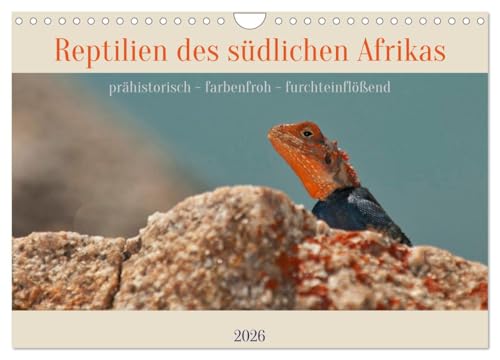 Reptilien des südlichen Afrikas (Wandkalender 2026 DIN A4 quer), CALVENDO Monatskalender: Verschiedenste Arten dieser besonderen Tiergruppe aus den Ländern des südlichen Afrikas (CALVENDO Natur)