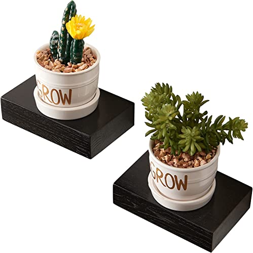 INMAN Kleines schwebendes Regal aus Eiche 2 Stück Mini Wandregal aus Holz für Dekorationspflanzen, kleines Schwarz Ausstellungsregal für Wohnzimmer, Schlafzimmer, Badezimmer