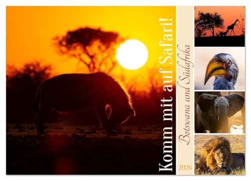 Komm mit auf Safari! Botswana und Südafrika (Wandkalender 2026 DIN A3 quer), CALVENDO Monatskalender: Safari-Feeling fürs ganze Jahr! (CALVENDO Tiere)
