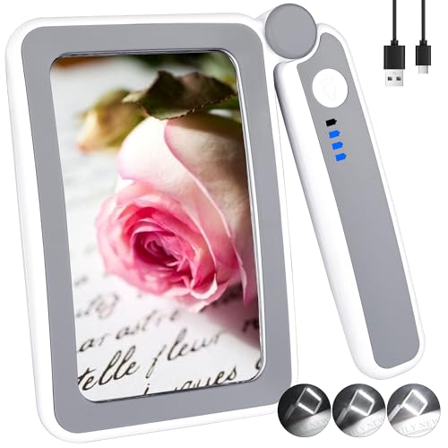 Kussla 4X Lupe Mit Licht, Lupe with 10 LEDs und 3 Modi, 2-Fach Handlupe Lupenbrille Mit Licht, Faltbare Leselupe für ältere Menschen