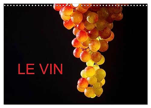 LE VIN (Calendrier mural 2026 DIN A3 horizontal), CALVENDO calendrier mensuel: De belles photos autour du vin (CALVENDO Nature)