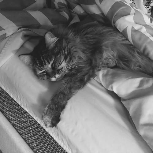 Roman Salute [Explicit]