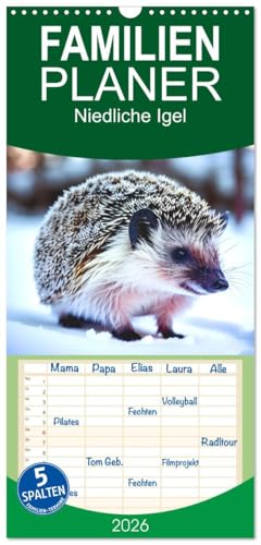 Familienplaner 2026 - Niedliche Igel mit 5 Spalten (Wandkalender, 21 cm x 45 cm), CALVENDO