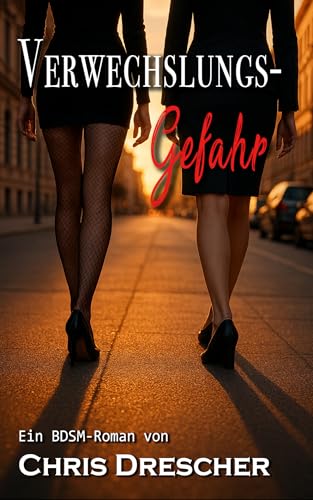 Verwechslungsgefahr: BDSM-Roman