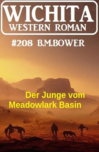 Der Junge vom Meadowlark Basin: Wichita Western Roman 208
