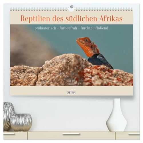 Reptilien des südlichen Afrikas (hochwertiger Premium Wandkalender 2026 DIN A2 quer), Kunstdruck in Hochglanz: Verschiedenste Arten dieser besonderen ... des südlichen Afrikas (CALVENDO Natur)