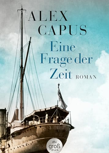 Eine Frage der Zeit: Roman (dtv großdruck)