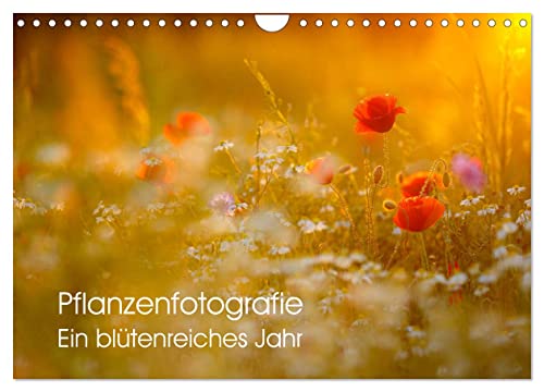 Pflanzenfotografie - Ein blütenreiches Jahr (Wandkalender 2025 DIN A4 quer), CALVENDO Monatskalender