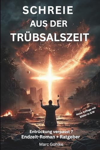 Schreie aus der Trübsalszeit: Entrückung verpasst - Endzeit Roman + Ratgeber