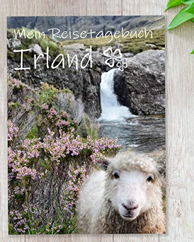 Reisetagebuch Irland & Nordirland zum Ausfüllen | Tagebuch mit viel Abwechslung, spannenden Aufgaben, tollen Fotos uvm. | gestalte deinen individuellen Reiseführer für Skandinavien | Calmondo