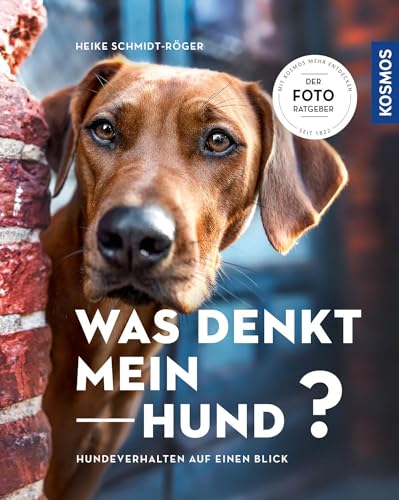 Was denkt mein Hund?: Hundeverhalten auf einen Blick - Der Foto-Ratgeber