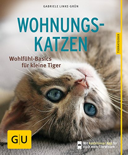 Wohnungskatzen: Wohlfühl-Basics für kleine Tiger