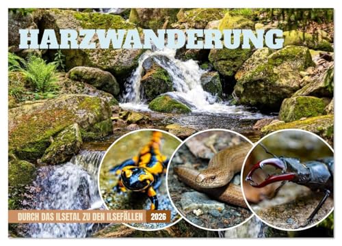 Harzwanderung-Durch das Ilsetal zu den Ilsefällen (Wandkalender 2026 DIN A3 quer), CALVENDO Monatskalender: Die Ilsefälle ein Ort den man erwandert und gesehen haben sollte (CALVENDO Orte)