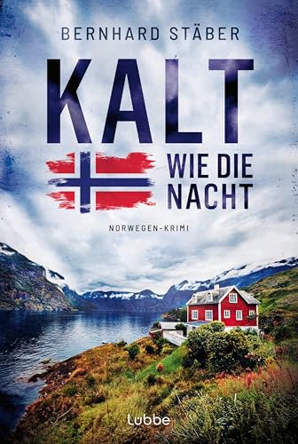 Kalt wie die Nacht: Auftakt der neuen Norwegen-Krimi-Reihe vom Autor der Arne-Eriksen-Trilogie (Ein Fall für Wolf Larsen, Band 1)