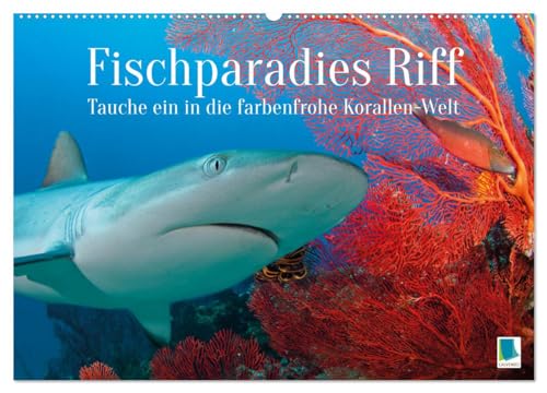 Fischparadies Riff (Wandkalender 2025 DIN A2 quer), CALVENDO Monatskalender