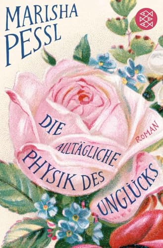 Die alltägliche Physik des Unglücks: Roman
