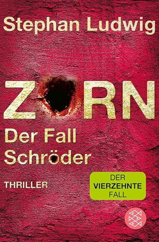 Zorn – Der Fall Schröder: Thriller