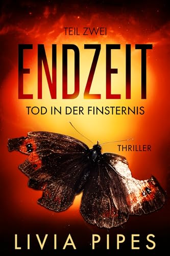 Endzeit – Tod in der Finsternis: Survival-Thriller (Endzeit-Visionen 2)