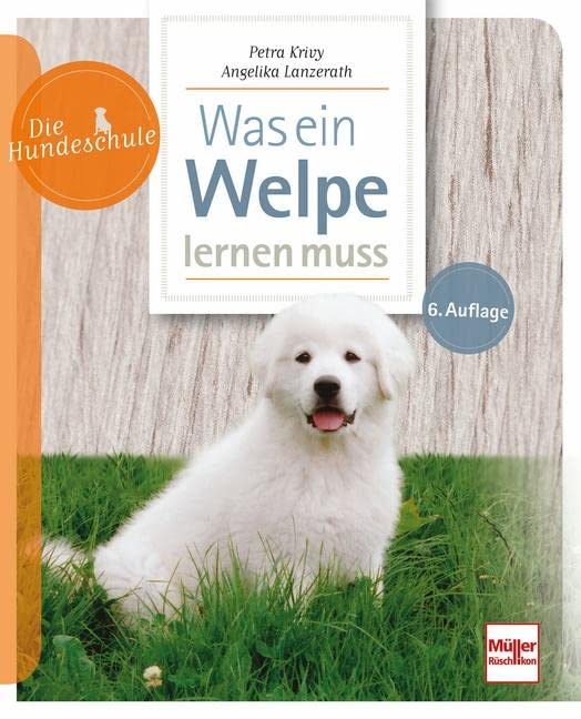 Was ein Welpe lernen muss (Die Hundeschule)