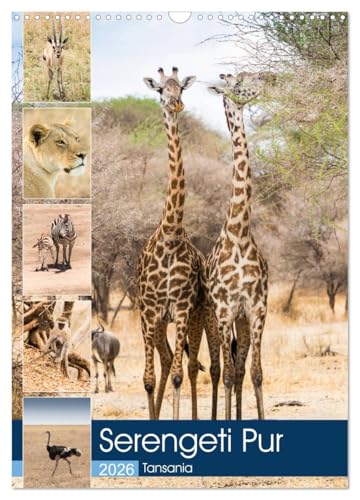 Serengeti Pur - Tansania (Wandkalender 2026 DIN A3 hoch), CALVENDO Monatskalender