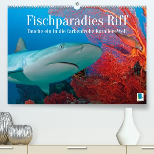 Fischparadies Riff (hochwertiger Premium Wandkalender 2025 DIN A2 quer), Kunstdruck in Hochglanz