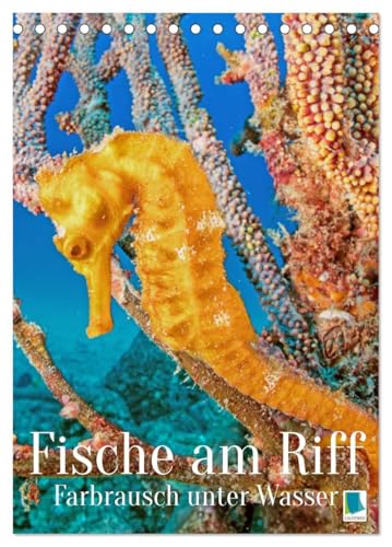 Farbrausch unter Wasser: Fische am Riff (Tischkalender 2026 DIN A5 hoch), CALVENDO Monatskalender: Leuchtende bunte Fische und farbenfrohe Korallen-Welt (Planer-Kalendarium) (CALVENDO Tiere)