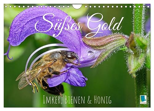 Süßes Gold: Imker, Bienen & Honig (Wandkalender 2024 DIN A4 quer), CALVENDO Monatskalender