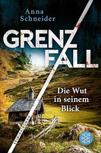 Grenzfall – Die Wut in seinem Blick: Kriminalroman | Die grenzüberschreitende Bestseller-Serie zwischen Deutschland & Österreich (Jahn und Krammer ermitteln 7)