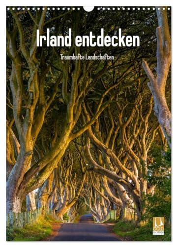 Irland entdecken (Wandkalender 2026 DIN A3 hoch), CALVENDO Monatskalender: Irische Landschaften (CALVENDO Natur)