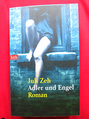 Adler und Engel: Roman