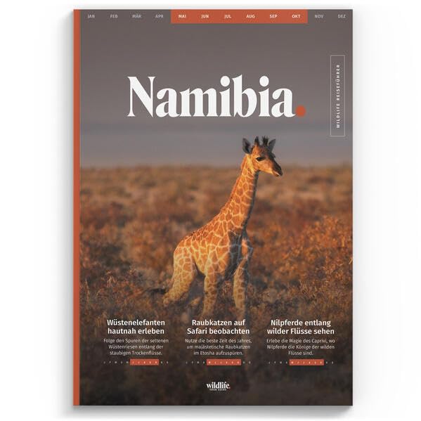 Reiseführer Namibia: Dein Roadtrip-Guide für mehr Tiersichtungen als Selbstfahrer (mit Etosha-Karte) - Wildlife Tour Guide