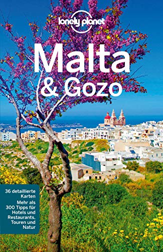 Lonely Planet Reiseführer Malta & Gozo (Lonely Planet Reiseführer E-Book)